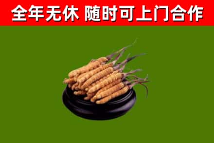廉江市烟酒回收冬虫夏草.jpg