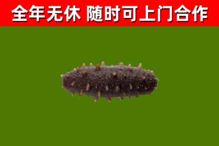 廉江市烟酒回收干海参.jpg
